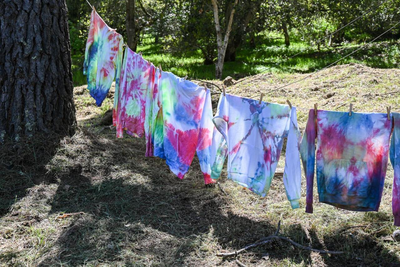 The Camp At