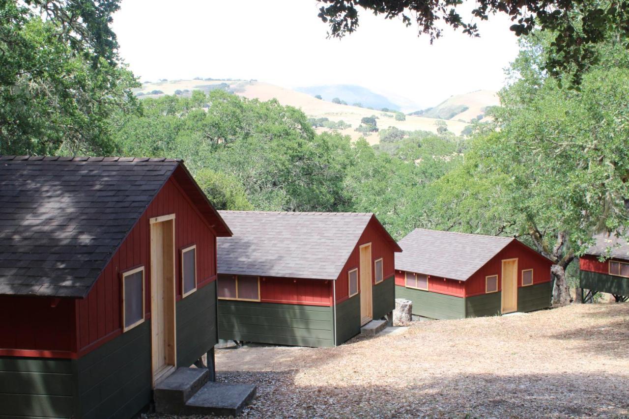 The Camp At *