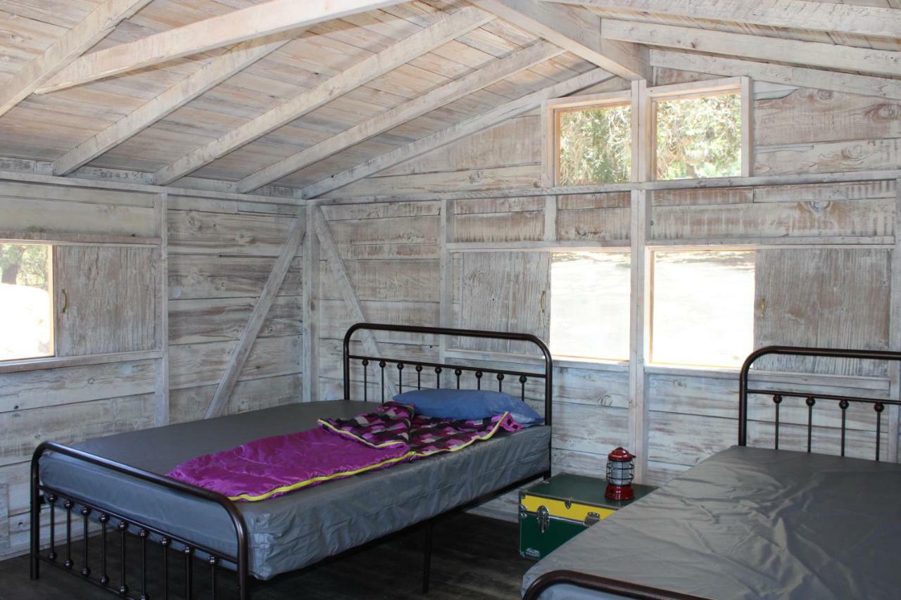 The Camp At *