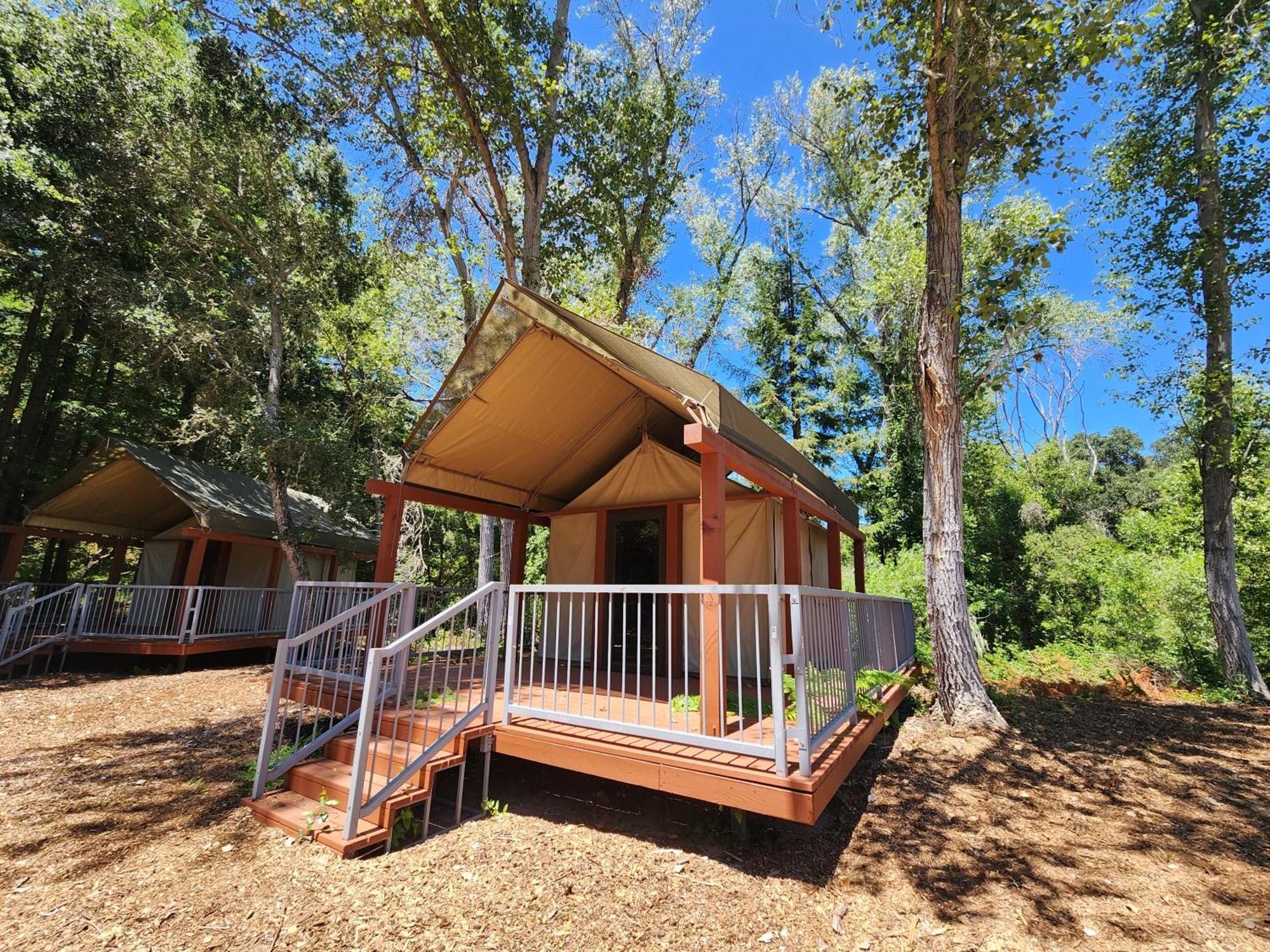 The Camp At Campsite *